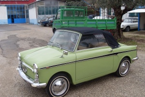 Bianchina verde