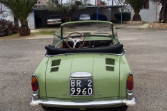 bianchina_verde_018