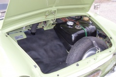 bianchina_verde_029