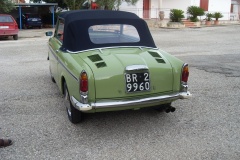 bianchina_verde_031