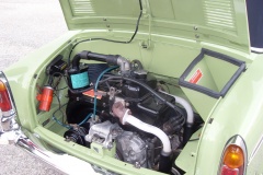 bianchina_verde_032