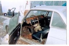 fulvia_003