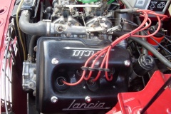 fulvia_009