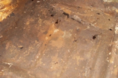 Giuglietta Spider
