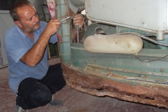 volkswagen_t2_037