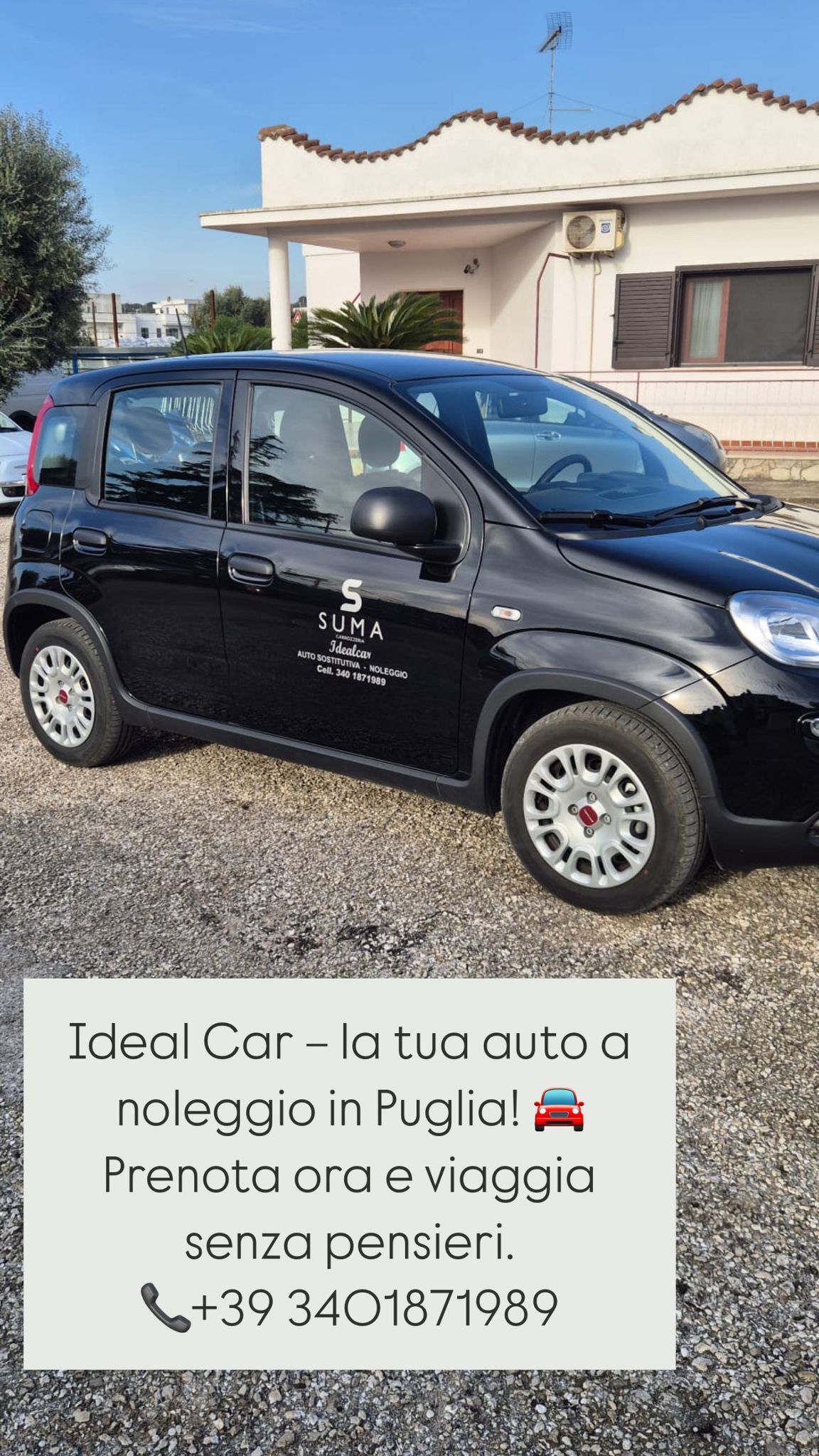 Noleggio auto